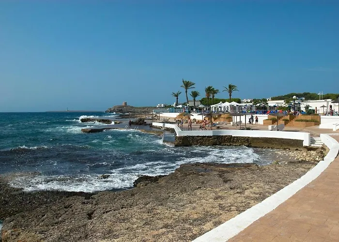 Mencia By וילה ס'אלגר